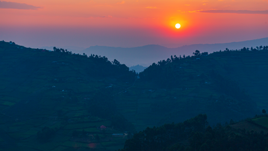 Exploring Uganda’s Top Chimp Trekking Destinations: Kibale Forest vs. Budongo Forest